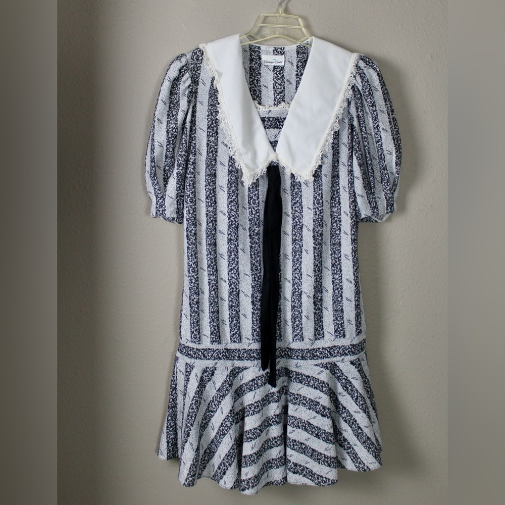 Vintage Carriage Court Drop Waist Dress